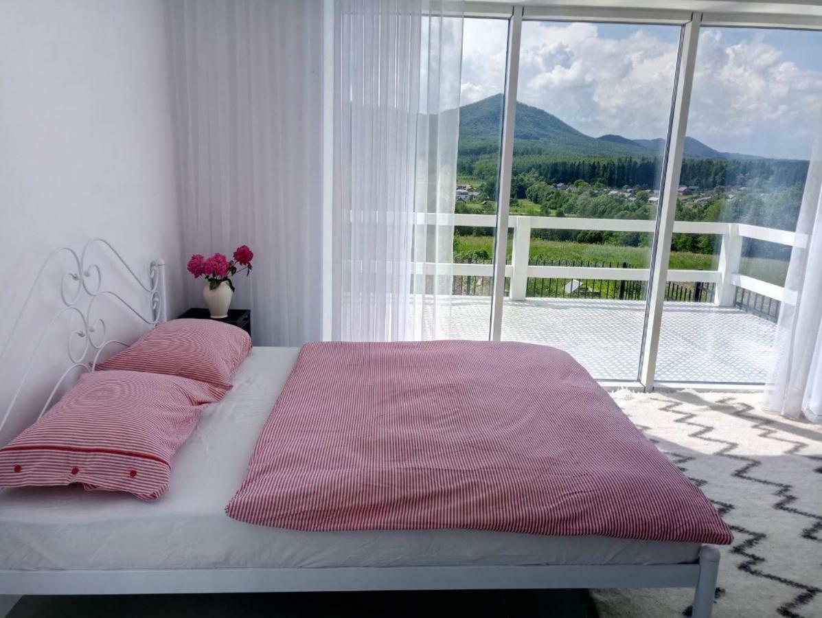 הוילה Berehomet Cosy House מראה חיצוני תמונה